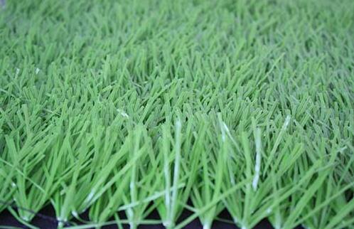 artificial lawn, synthetic lawn