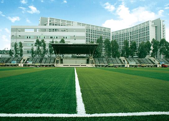 artificial grass, carpet grass